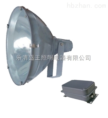 HTC1800A高效中功率投光燈 樂(lè)清盛王照明電器打造專(zhuān)業(yè)戶外照明解決方案
